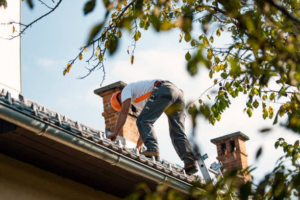 Best Tile Roofing Installation  in Portland, MI
