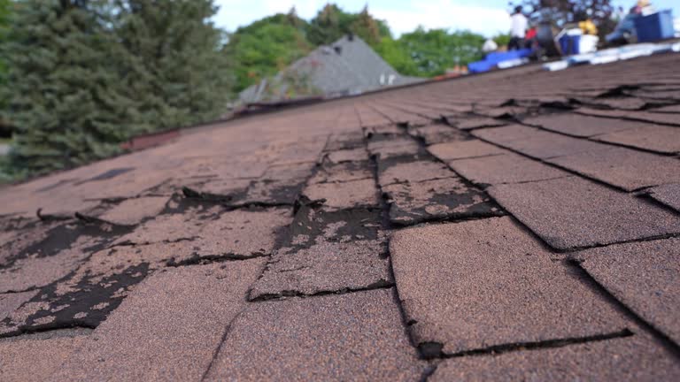 Fast & Reliable Emergency Roof Repairs in Portland, MI