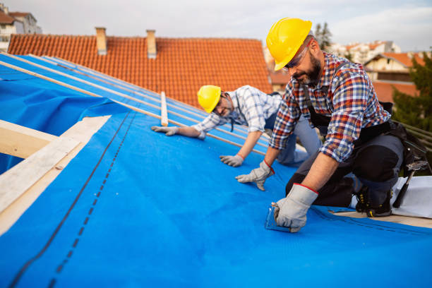 Best Roof Installation  in Portland, MI