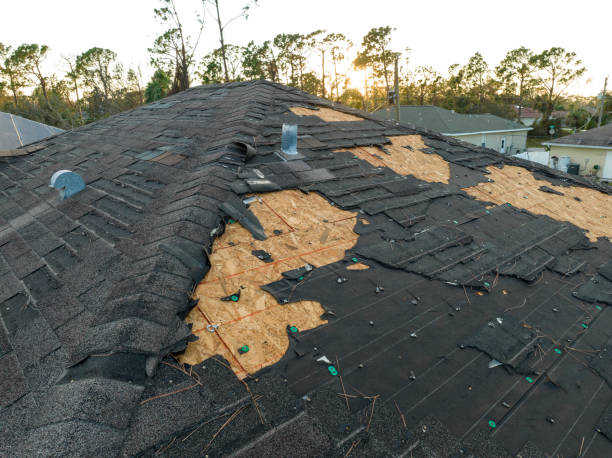 Best Sheet Metal Roofing  in Portland, MI