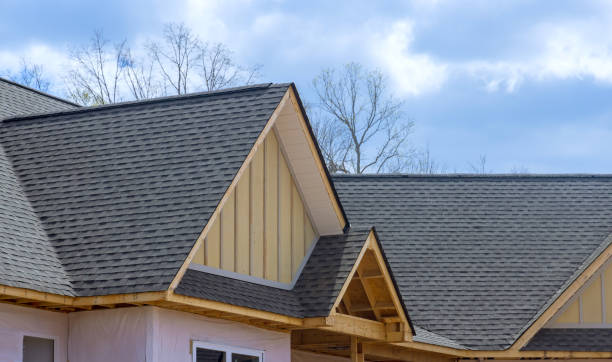 Best Rubber Roofing (EPDM, TPO)  in Portland, MI